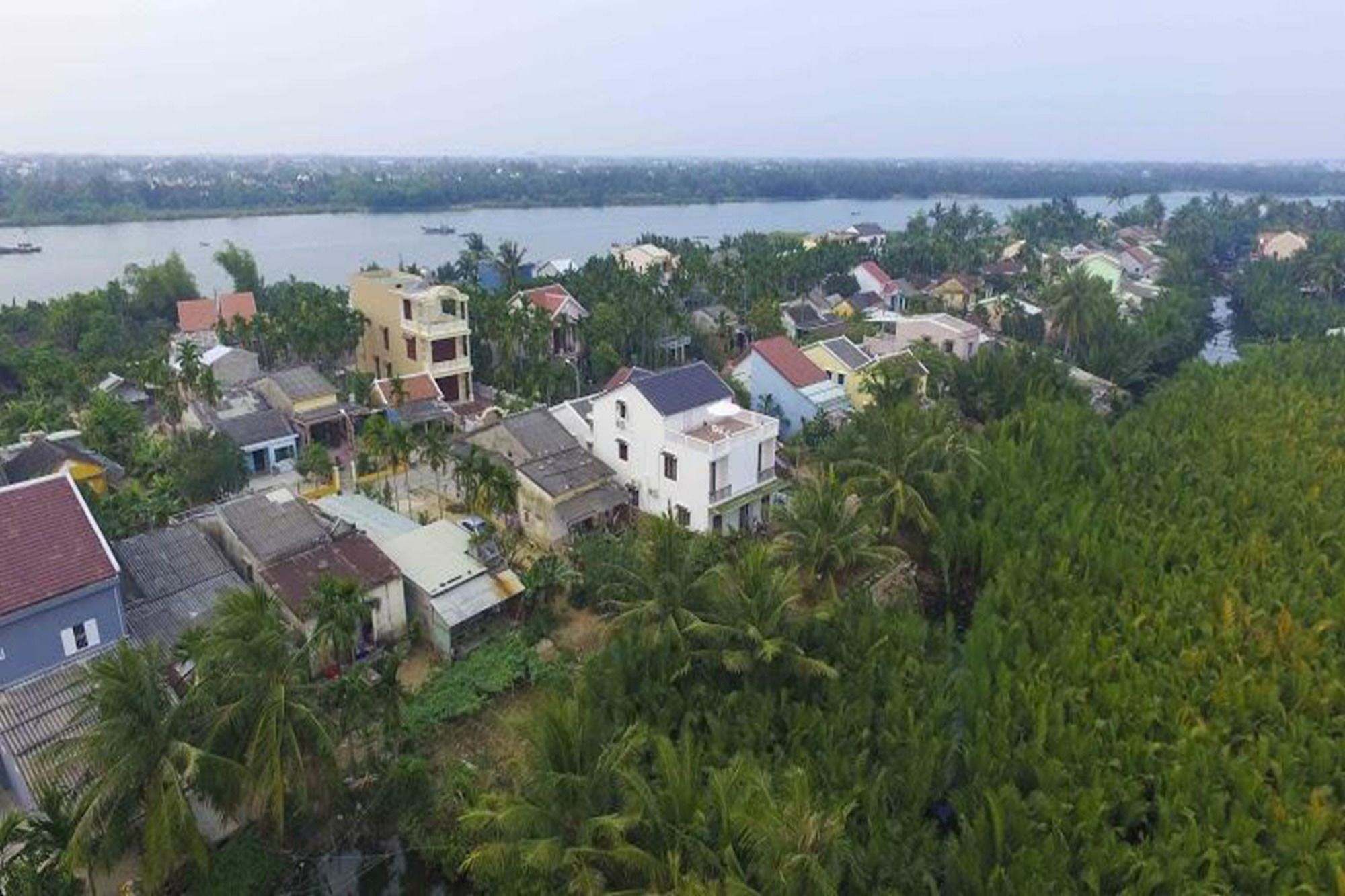 הוי אן Coconut Garden Homestay מראה חיצוני תמונה