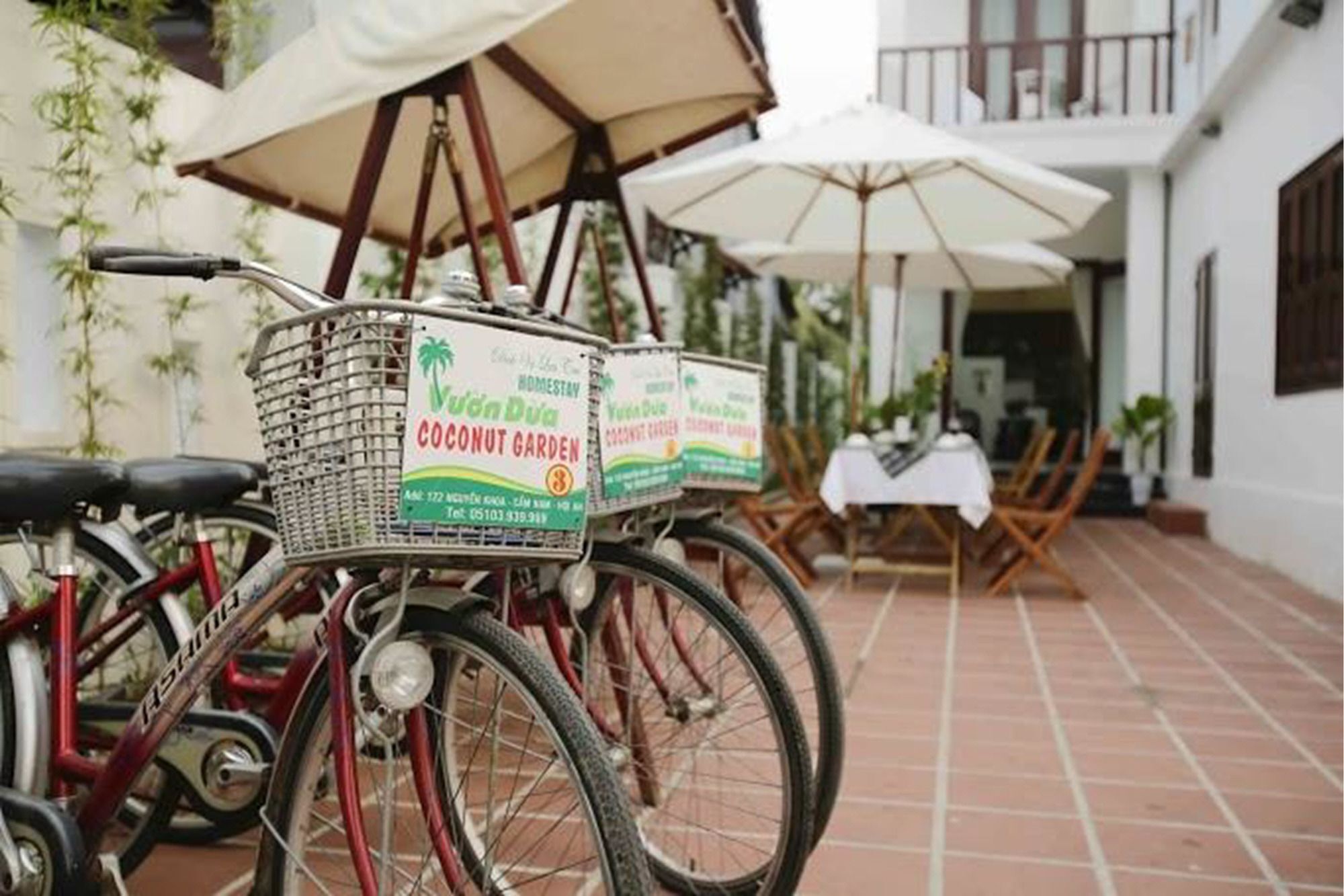 הוי אן Coconut Garden Homestay מראה חיצוני תמונה